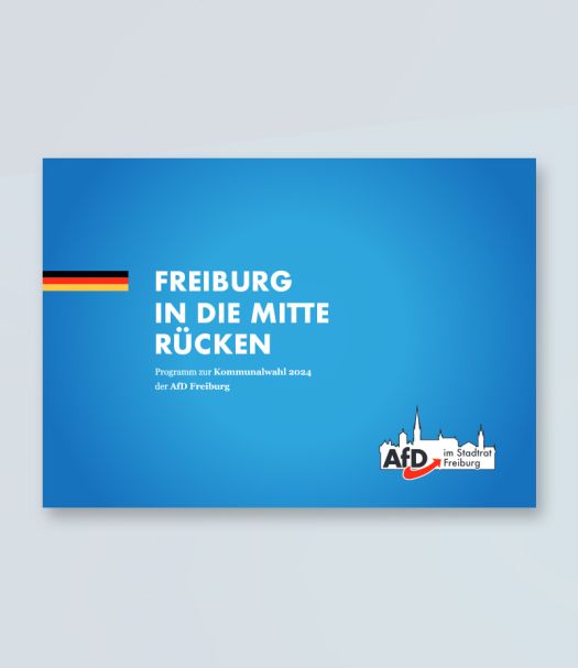 AfD Kommunalprogramm 2024